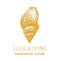 Illica Vini